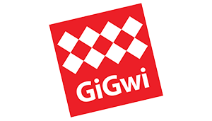 31.-GiGwi-v2