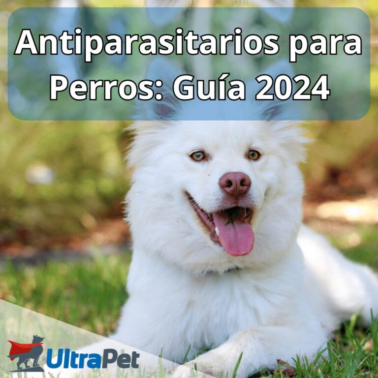 Antiparasitarios para perro Guia 2024 (1)